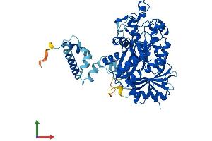 Protein Structure (PS) image for Elongator complex protein 3 (ELP3) (AA 1-547) protein (His tag) (ABIN7564968)