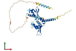 AlphaFold protein structure predicition of Mouse Recombinant Mageb18 Protein, UniprotID Q8BQR7 (MAGEB18 Protein (AA 1-327) (His tag))