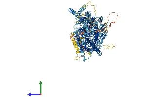AlphaFold protein structure predicition of Mouse Recombinant Pigo Protein, UniprotID Q9JJI6 (PIGO Protein (AA 1-1093) (His tag))