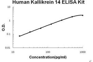 Human Kallikrein 14 Accusignal ELISA Kit Human Kallikrein 14 AccuSignal ELISA Kit standard curve. (Kallikrein 14 ELISA Kit)