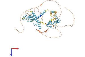AlphaFold protein structure predicition of Human Recombinant ZNF512 Protein, UniprotID Q96ME7