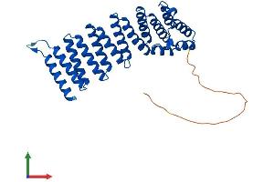 Protein Structure (PS) image for N-Ethylmaleimide-Sensitive Factor Attachment Protein, gamma (NAPG) (AA 1-312) protein (His tag) (ABIN7546252)