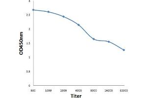 Antigen: 0. (Phospholamban antibody  (pSer16))
