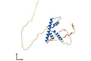 Protein Structure (PS) image for Nuclear Transcription Factor Y, beta (NFYB) (AA 1-207) protein (His tag) (ABIN7556647)
