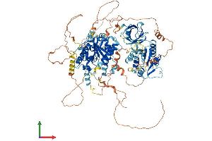 AlphaFold protein structure predicition of Mouse Recombinant Pitpnm3 Protein, UniprotID Q3UHE1 (NIR1 Protein (AA 1-974) (His tag))