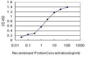 Detection limit for recombinant GST tagged PRKG1 is approximately 0. (PRKG1 antibody  (AA 73-170))