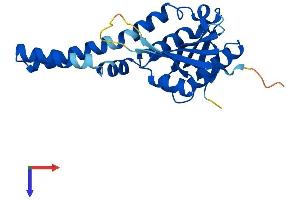 AlphaFold protein structure predicition of Mouse Recombinant Cml5 Protein, UniprotID Q9QXS8 (Camello-Like 5 Protein (CML5) (AA 1-227) (His tag))