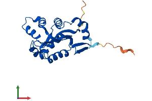 AlphaFold protein structure predicition of Mouse Recombinant Nme6 Protein, UniprotID O88425