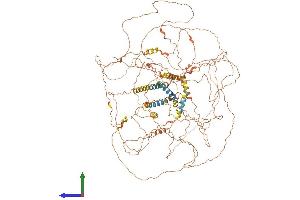 AlphaFold protein structure predicition of Human Recombinant SPATA31C2 Protein, UniprotID B4DYI2 (SPATA31C2 Protein (AA 1-1134) (His tag))