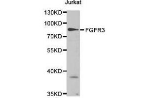Western Blotting (WB) image for anti-Fibroblast Growth Factor Receptor 3 (FGFR3) antibody (ABIN1872689) (FGFR3 antibody)