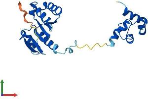 Protein Structure (PS) image for Chromosome 19 Open Reading Frame 40 (C19ORF40) (AA 1-215) protein (His tag) (ABIN7547503)