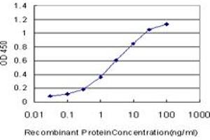 Detection limit for recombinant GST tagged KLF9 is approximately 0. (KLF9 antibody  (AA 25-101))