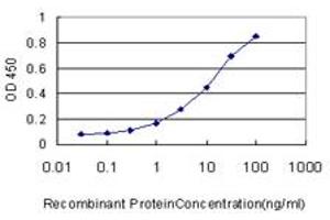 Detection limit for recombinant GST tagged IRX5 is approximately 0. (IRX5 antibody  (AA 204-264))
