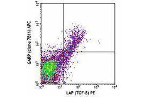 Flow Cytometry (FACS) image for anti-Leucine Rich Repeat Containing 32 (LRRC32) antibody (APC) (ABIN2658318) (LRRC32 antibody  (APC))