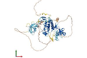 AlphaFold protein structure predicition of Mouse Recombinant Raf1 Protein, UniprotID Q99N57 (RAF1 Protein (AA 1-648) (His tag))
