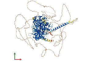 AlphaFold protein structure predicition of Human Recombinant MTMR4 Protein, UniprotID Q9NYA4 (MTMR4 Protein (AA 1-1195) (His tag))