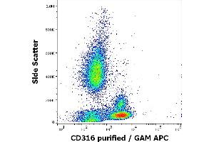 Flow cytometry surface staining pattern of human peripheral whole blood stained using anti-human CD316 (8A12) purified antibody (concentration in sample 5 μg/mL, GAM APC). (IGSF8 antibody)