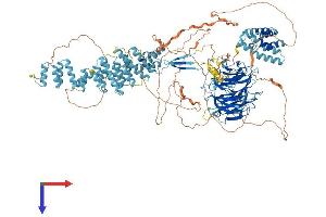 SEC31A Protein (AA 1-1220) (His tag)