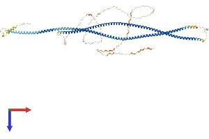 AlphaFold protein structure predicition of Human Recombinant CTAGE9 Protein, UniprotID A4FU28 (CTAGE9 Protein (AA 1-777) (His tag))