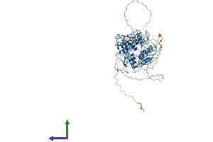 AlphaFold protein structure predicition of Human Recombinant ZNF182 Protein, UniprotID P17025