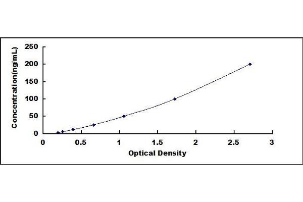 Collagen Type V ELISA Kit