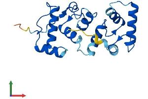 Protein Structure (PS) image for Calcium And Integrin Binding Family Member 2 (CIB2) (AA 1-187) protein (His tag) (ABIN7556456)