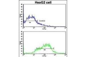 Flow cytometric analysis of HepG2 cells using EphA1 Antibody (N-term) (bottom histogram) compared to a negative control cell (top histogram).