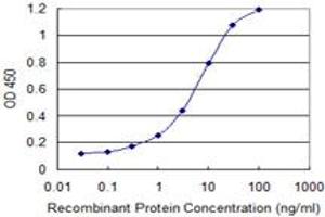 Detection limit for recombinant GST tagged EXOSC4 is 0. (EXOSC4 antibody  (AA 1-100))