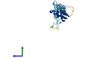 AlphaFold protein structure predicition of Human Recombinant KCTD11 Protein, UniprotID Q693B1 (KCTD11 Protein (AA 1-232) (His tag))