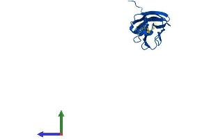 Protein Structure (PS) image for Tumor Necrosis Factor (Ligand) Superfamily, Member 18 (TNFSF18) (AA 1-173) protein (His tag) (ABIN7558283)