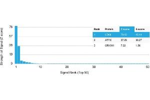Analysis of Protein Array containing more than 19,000 full-length human proteins using CD68 Mouse Monoclonal Antibody (LAMP4/1830) Z- and S- Score: The Z-score represents the strength of a signal that a monoclonal antibody (MAb) (in combination with a fluorescently-tagged anti-IgG secondary antibody) produces when binding to a particular protein on the HuProtTM array. (CD68 antibody  (AA 150-301))
