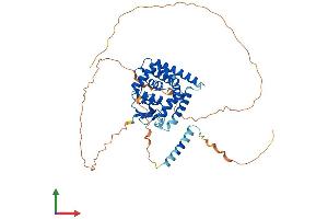 Protein Structure (PS) image for Metaxin 1 (MTX1) (AA 1-466) protein (His tag) (ABIN7549603)