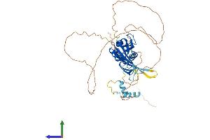 Protein Structure (PS) image for Potassium Channel Tetramerisation Domain Containing 8 (KCTD8) (AA 1-473) protein (His tag) (ABIN7548857)