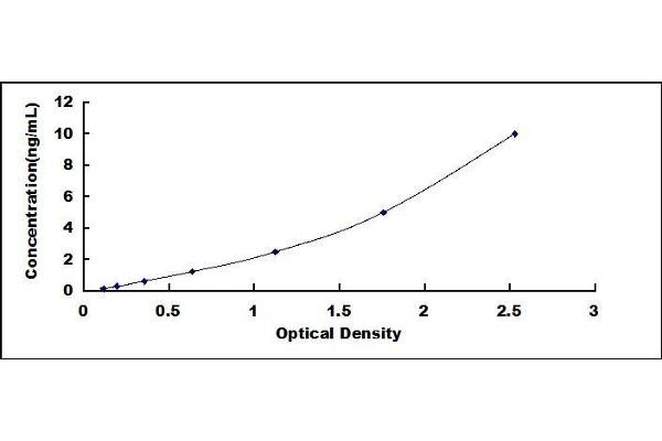 MMP25 ELISA Kit