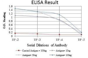 Red: Control Antigen (100 ng), Purple: Antigen (10 ng), Green: Antigen (50 ng), Blue: Antigen (100 ng), (PSIP1 antibody)