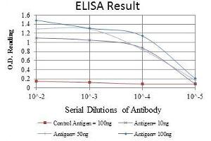 Red: Control Antigen (100 ng), Purple: Antigen (10 ng), Green: Antigen (50 ng), Blue: Antigen (100 ng), (PSIP1 antibody)