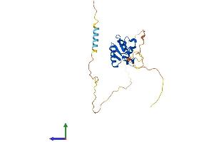 AlphaFold protein structure predicition of Mouse Recombinant Spic Protein, UniprotID Q6P3D7 (SPIC Protein (AA 1-242) (His tag))