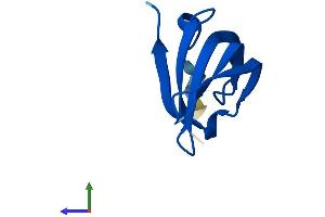 AlphaFold protein structure predicition of Human Recombinant SNRPG Protein, UniprotID P62308 (SNRPG Protein (AA 1-76) (Fc Tag))