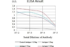 Black line: Control Antigen (100 ng),Purple line: Antigen (10 ng), Blue line: Antigen (50 ng), Red line:Antigen (100 ng) (Integrin beta 2 antibody  (AA 559-700))