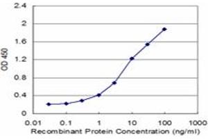 Detection limit for recombinant GST tagged RABEPK is approximately 0. (RABEPK antibody  (AA 273-372))