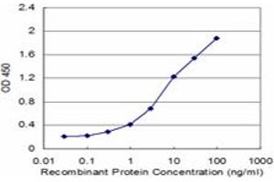 Detection limit for recombinant GST tagged RABEPK is approximately 0.