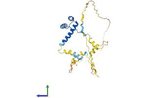 Protein Structure (PS) image for Empty Spiracles Homeobox 2 (EMX2) (AA 1-253) protein (His tag) (ABIN7556885)