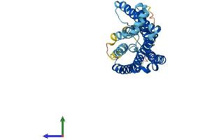 AlphaFold protein structure predicition of Human Recombinant OR3A2 Protein, UniprotID P47893 (OR3A2 Protein (AA 1-321) (His tag))