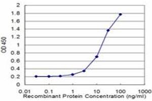 Detection limit for recombinant GST tagged EEF1D is approximately 1ng/ml as a capture antibody. (EEF1D antibody  (AA 1-91))