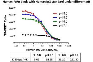 The kit has been used to detect the binding activity between Human FcRn and Human IgG standard under different pH. (Human FcRn binding Kit (TR-FRET))