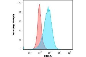 Flow Cytometric Analysis of Ramos cells using CD86 Rabbit Recombinant Monoclonal Antibody (C86/2160R) followed by goat anti-Mouse IgG-CF488 (Blue); Isotype Control (Red).