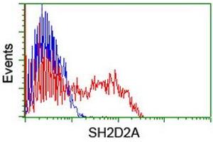 HEK293T cells transfected with either RC204162 overexpress plasmid (Red) or empty vector control plasmid (Blue) were immunostained by anti-SH2D2A antibody (ABIN2455660), and then analyzed by flow cytometry. (SH2D2A antibody)