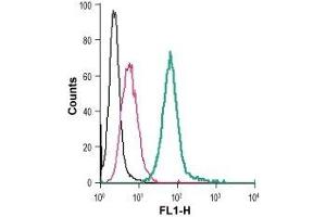 Cell surface detection of P2RY2 in live intact mouse J774 macrophage cells: (black line) Cells. (P2Y2 Receptor antibody  (C-Term, Extracellular) (FITC))
