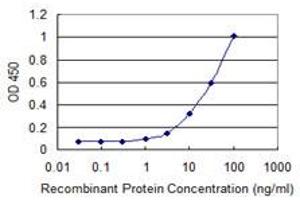 Detection limit for recombinant GST tagged LCMT1 is 0. (LCMT1 antibody  (AA 1-334))