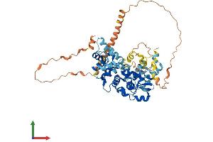 AlphaFold protein structure predicition of Human Recombinant MICU3 Protein, UniprotID Q86XE3 (EFHA2 Protein (AA 1-530) (His tag))